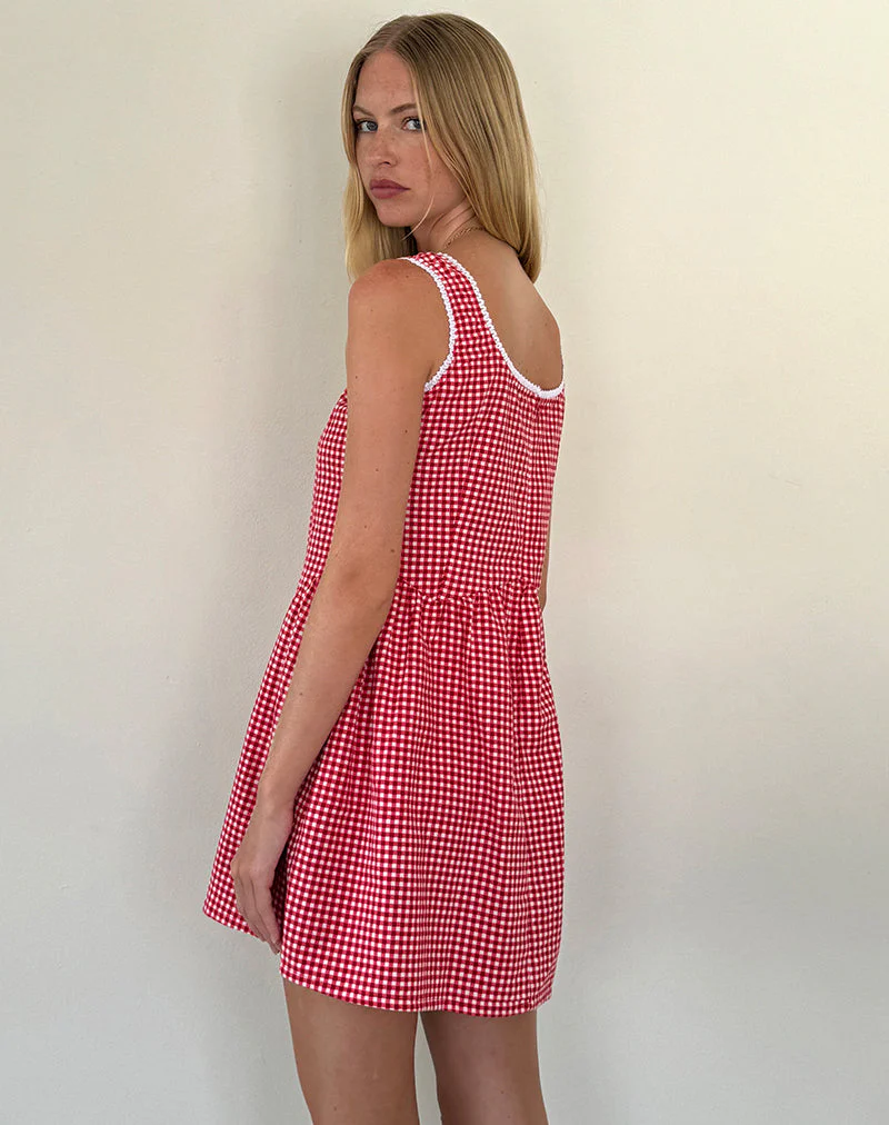 Leshi Mini Dress in Red Gingham